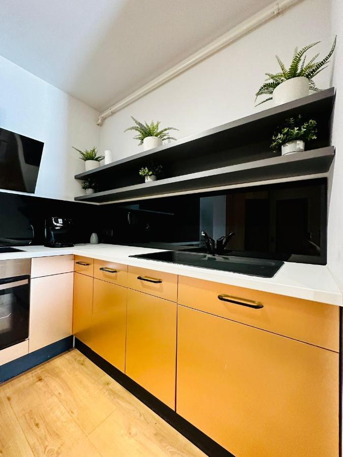 Kharisma Apartment-Free Parking-Ultracentral Kaloşvar Dış mekan fotoğraf