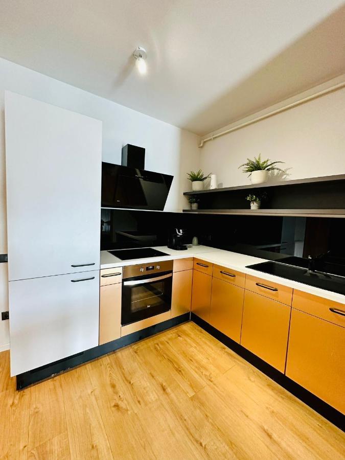 Kharisma Apartment-Free Parking-Ultracentral Kaloşvar Dış mekan fotoğraf